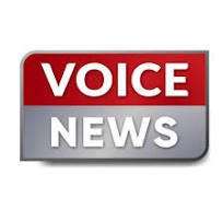 voice